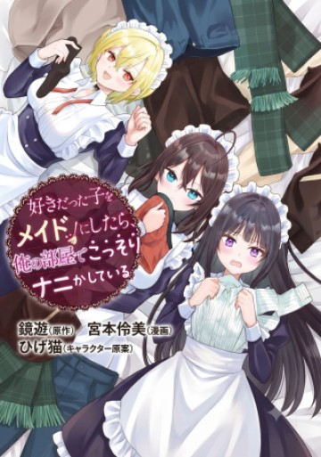 好きだった子をメイドにしたら、俺の部屋でこっそりナニかしている