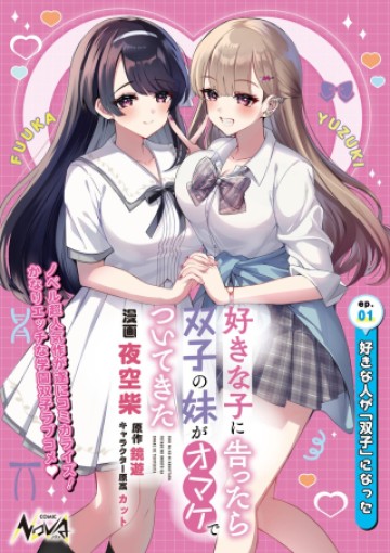 好きな子に告ったら、双子の妹がオマケでついてきた