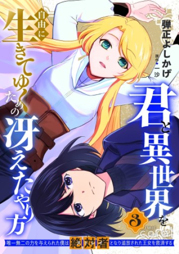 君と異世界を自由に生きてゆくための冴えたやり方～唯一無二の力を与えられた僕は絶対者となり追放された王女を救済する～